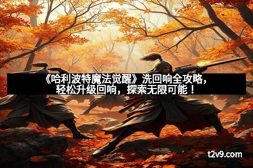 《哈利波特魔法觉醒》洗回响全攻略，轻松升级回响，探索无限可能！